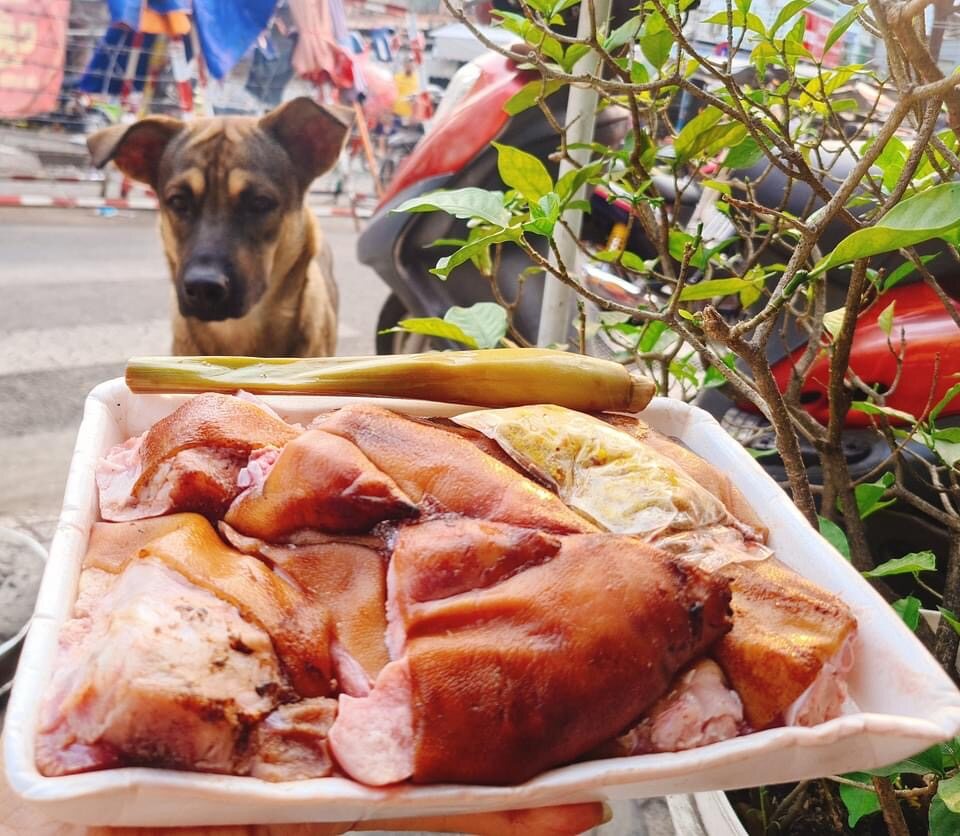 55b66d6ad05a6f246e34293dd017f12f