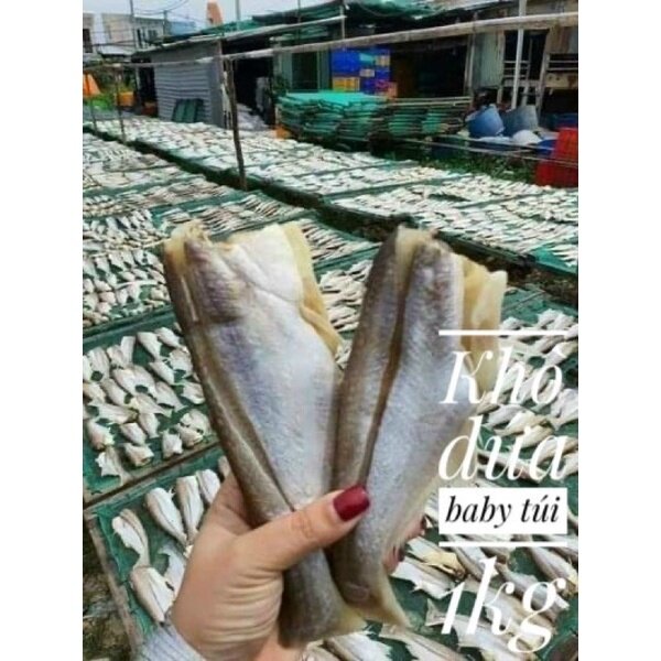 5d0582dd1c435a68701f60b37c037357