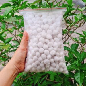 Trân Châu Nhân Dừa 1kg