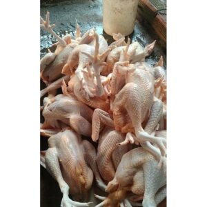 Gà Ta Thả Vườn Con Gà Có Đầu, Có Chân Không Lòng - khoảng 1Kg/Con