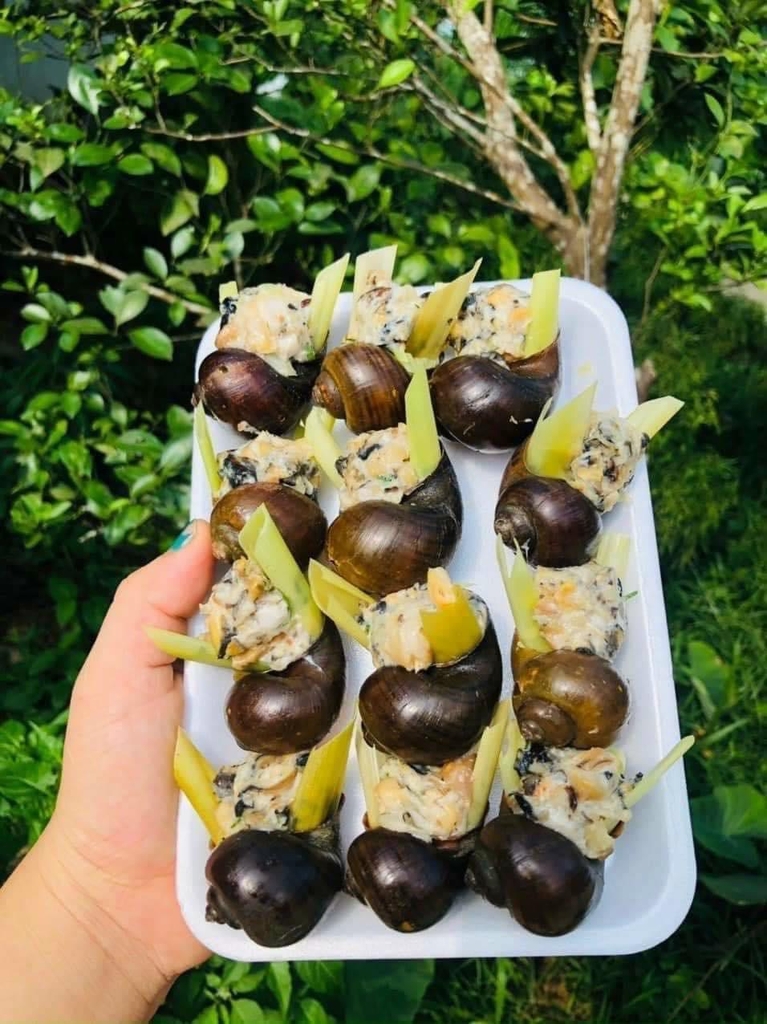 Ốc Nhồi Thịt Khay 12 con