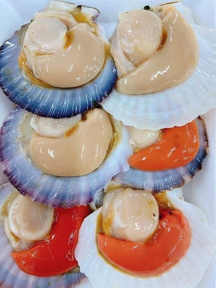 Sò Điệp Nhật Nguyên Con - Túi 1Kg