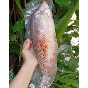 Cá Thác Lát Rút Xương Sỉ 4 Con/Kg