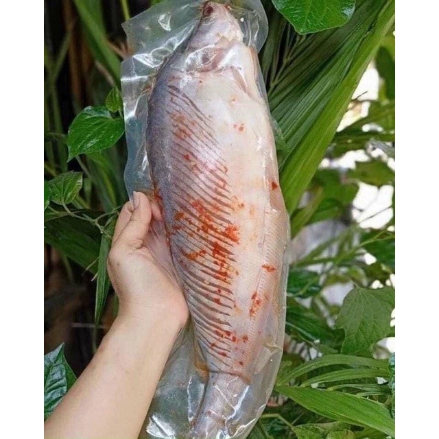 Cá Thác Lát Rút Xương Sỉ 4 Con/Kg