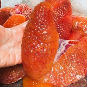 Trứng Cá Ngát - Khay 500Gr