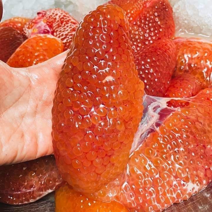 Trứng Cá Ngát - Khay 500Gr