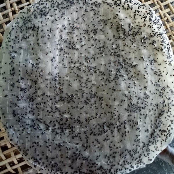 Bánh Tráng Nướng Mè Đen Tây Ninh 10 Cái Bánh Dầy