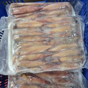 Mực Ghim Trứng - 1kg