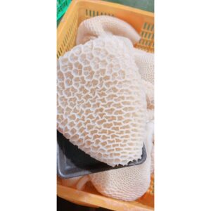 Tổ Ong Bò Luộc Chín Và Làm Sạch - Vỉ 1Kg