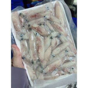 Mực Sữa Mini Tươi Ngon - Túi 1kg Net 8