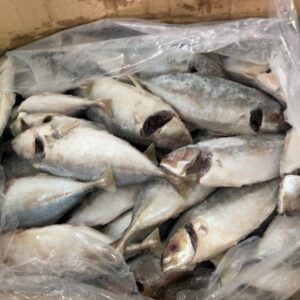 Cá Ngân Tươi Ngon Làm Sạch Cấp Đông - Túi 1Kg