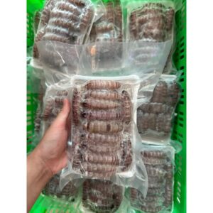 Tôm Tít (Bề Bề) Bóc Vỏ/Nõn Tôm Tít - Khay 450G