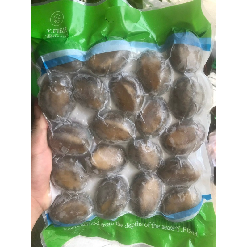 Bào Ngư Y.Fish - Túi 1Kg 18-20 con net 6